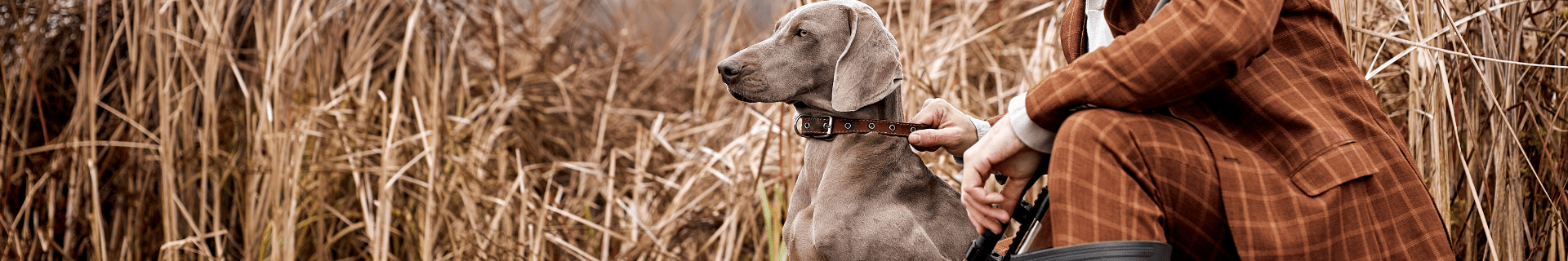 Jagdhundefutter - Heidejagd