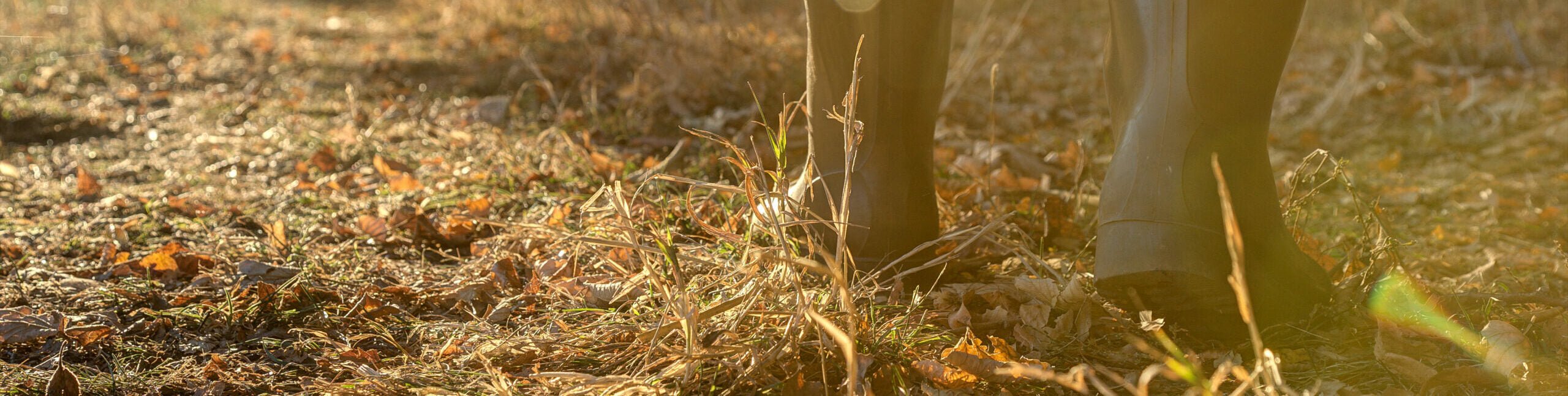 Schuhe für Herren - Heidejagd