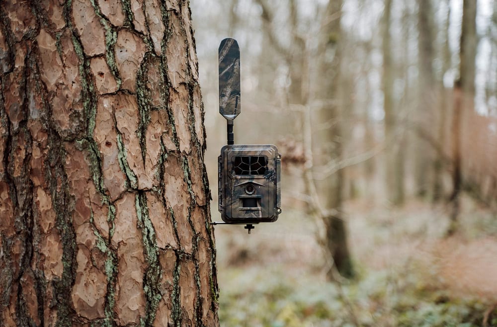 Seissiger Wildkamera Pro-Cam LTE Supersim-Edition - Heidejagd