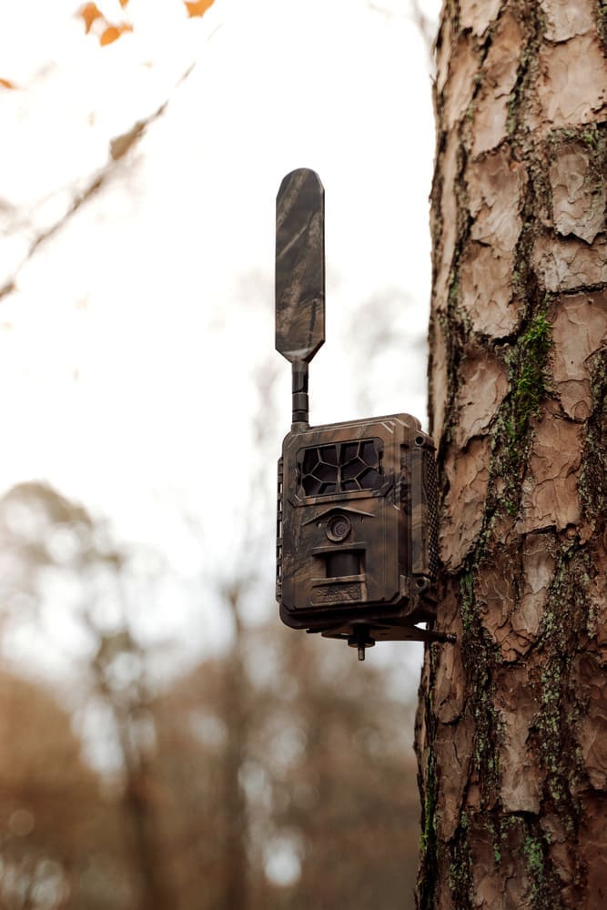 Seissiger Wildkamera Pro-Cam LTE Supersim-Edition - Heidejagd