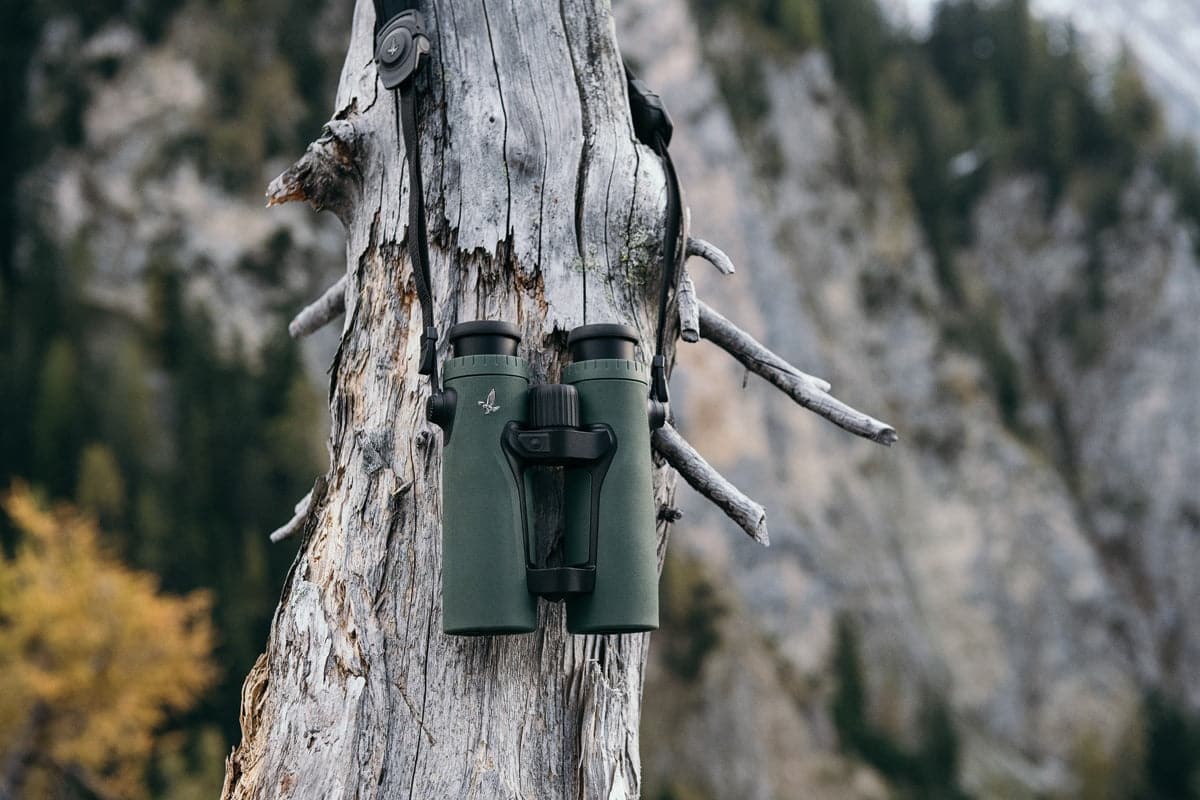 Swarovski Fernglas 10x42 EL Range - Heidejagd