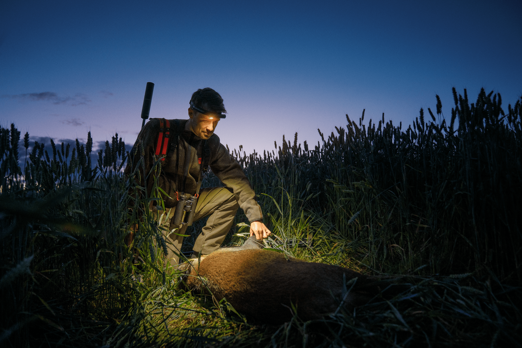 Härkila Herren Keilerschutzhose Wildboar Pro Move - Heidejagd