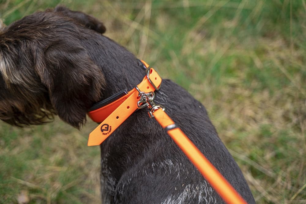 Schweißhalsung - Heidejagd