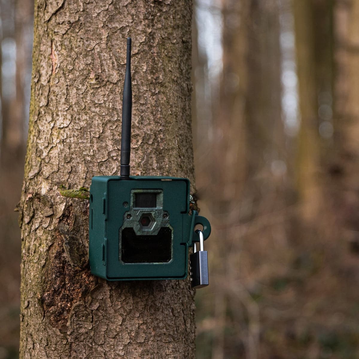 ICU Metallschutzgehäuse für 4G LTE Wildkamera - Heidejagd