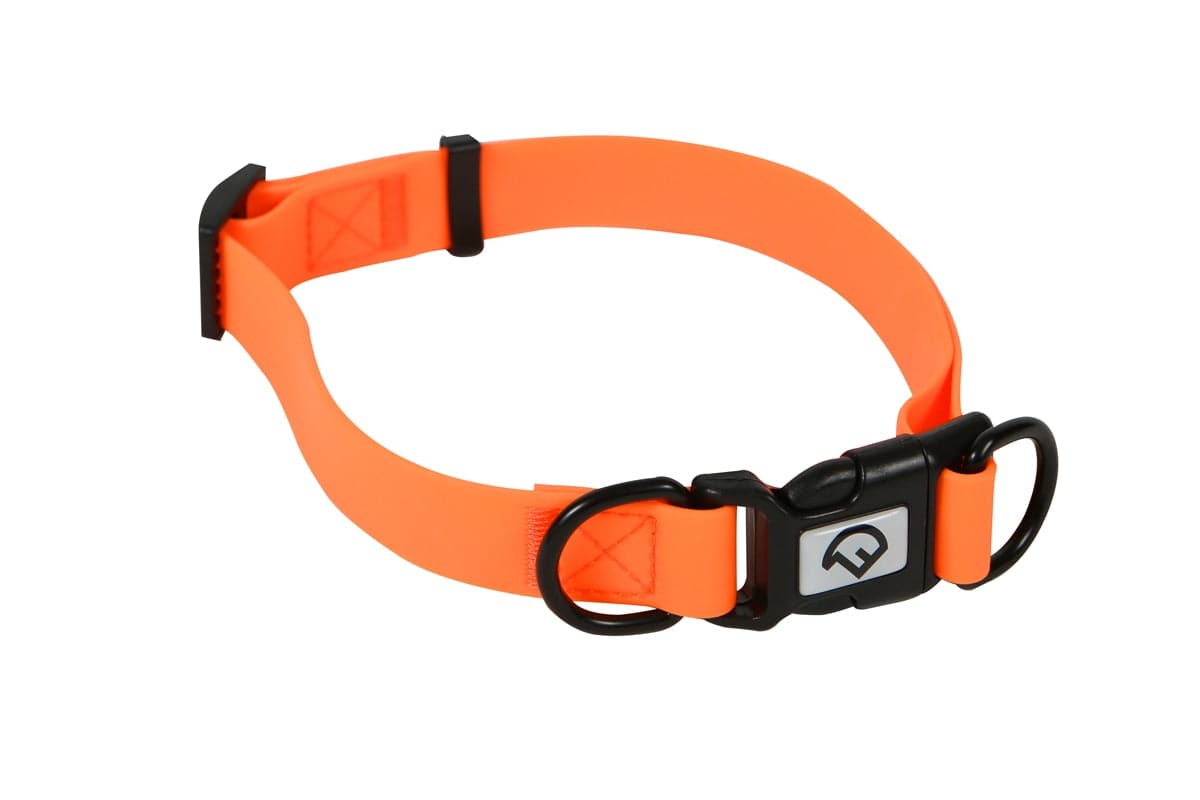 Verstellbares Hundehalsband - Heidejagd