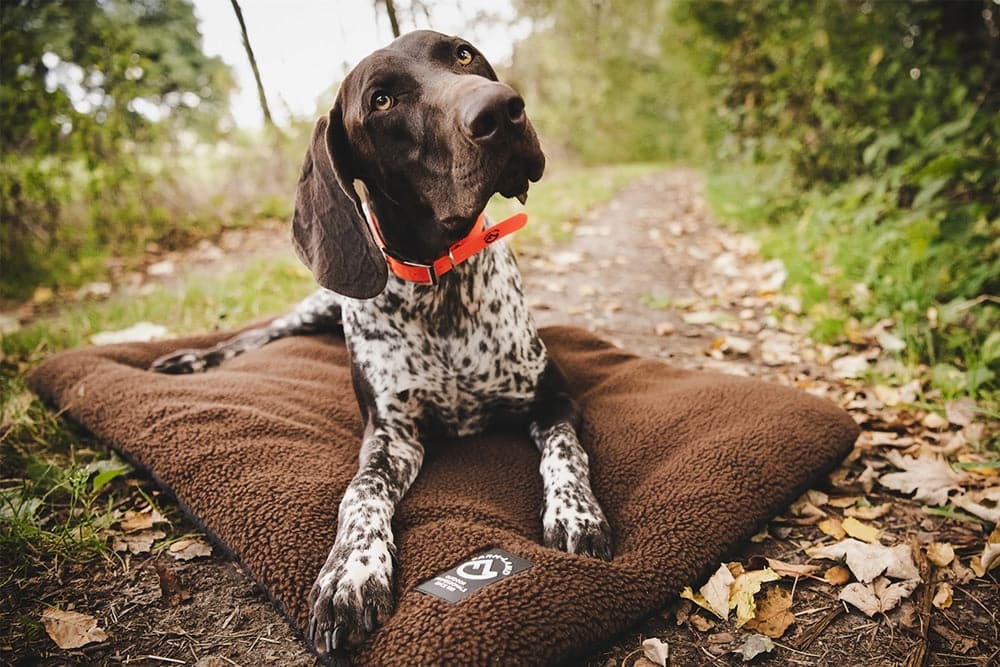 Hundedecke Faserpelz - Heidejagd