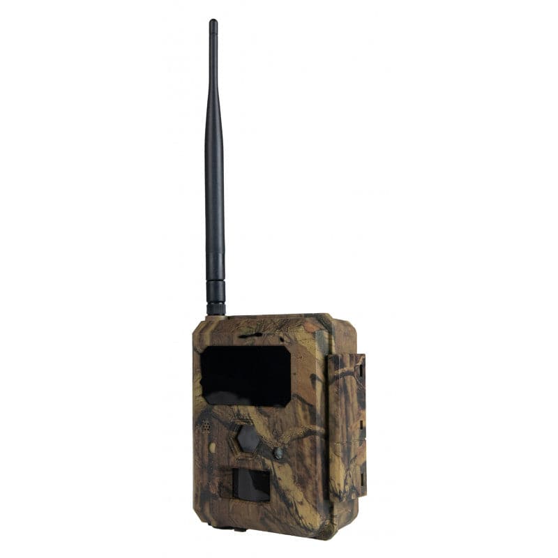 ICUserver Wildkamera icueasy 4G-LTE - Heidejagd