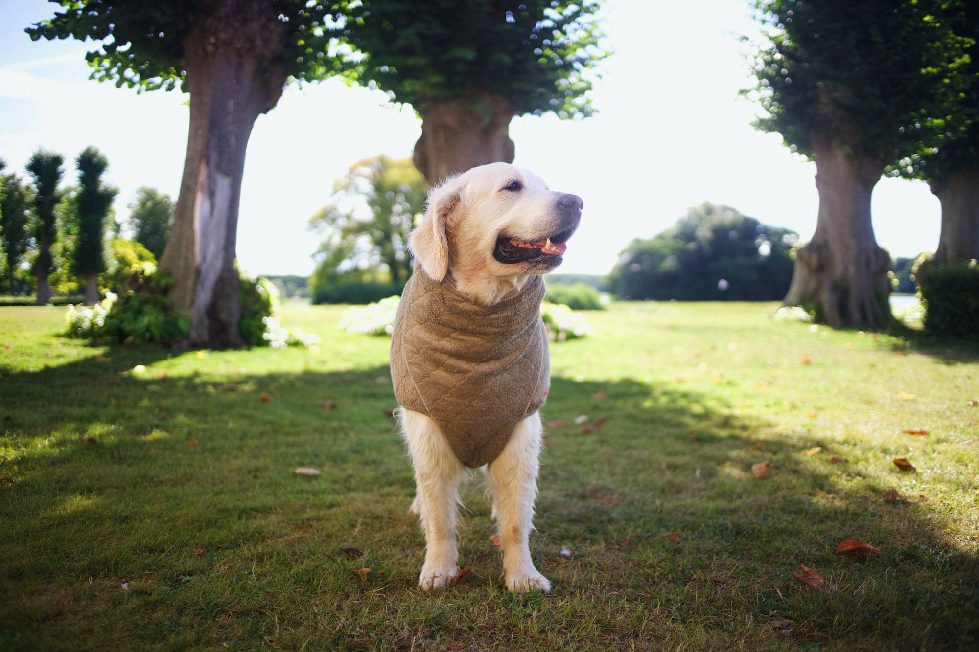 Siccaro Trockenmantel Supreme 2.0 - Heidejagd