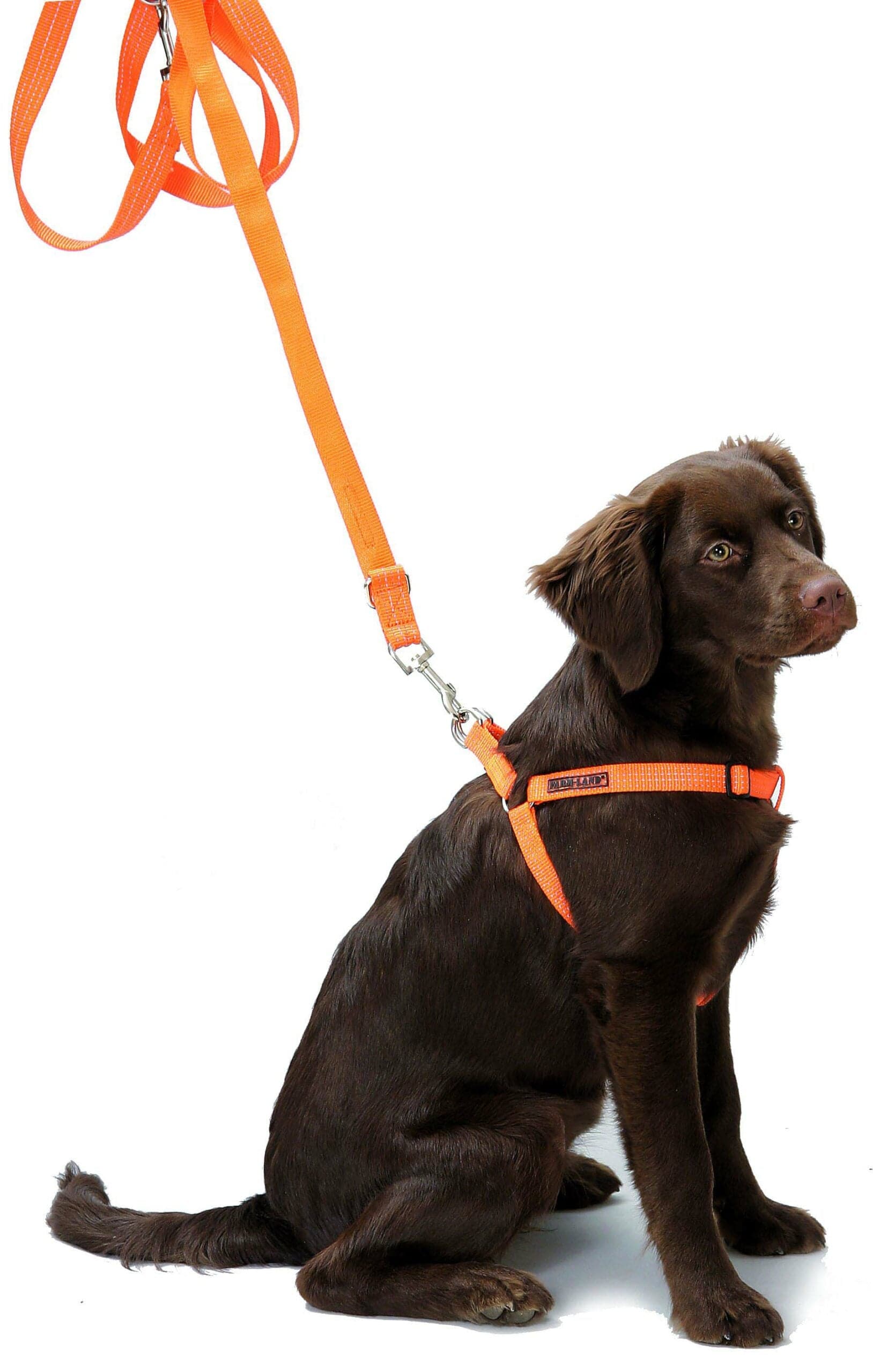 Farm-Land Umhängeleine - Heidejagd