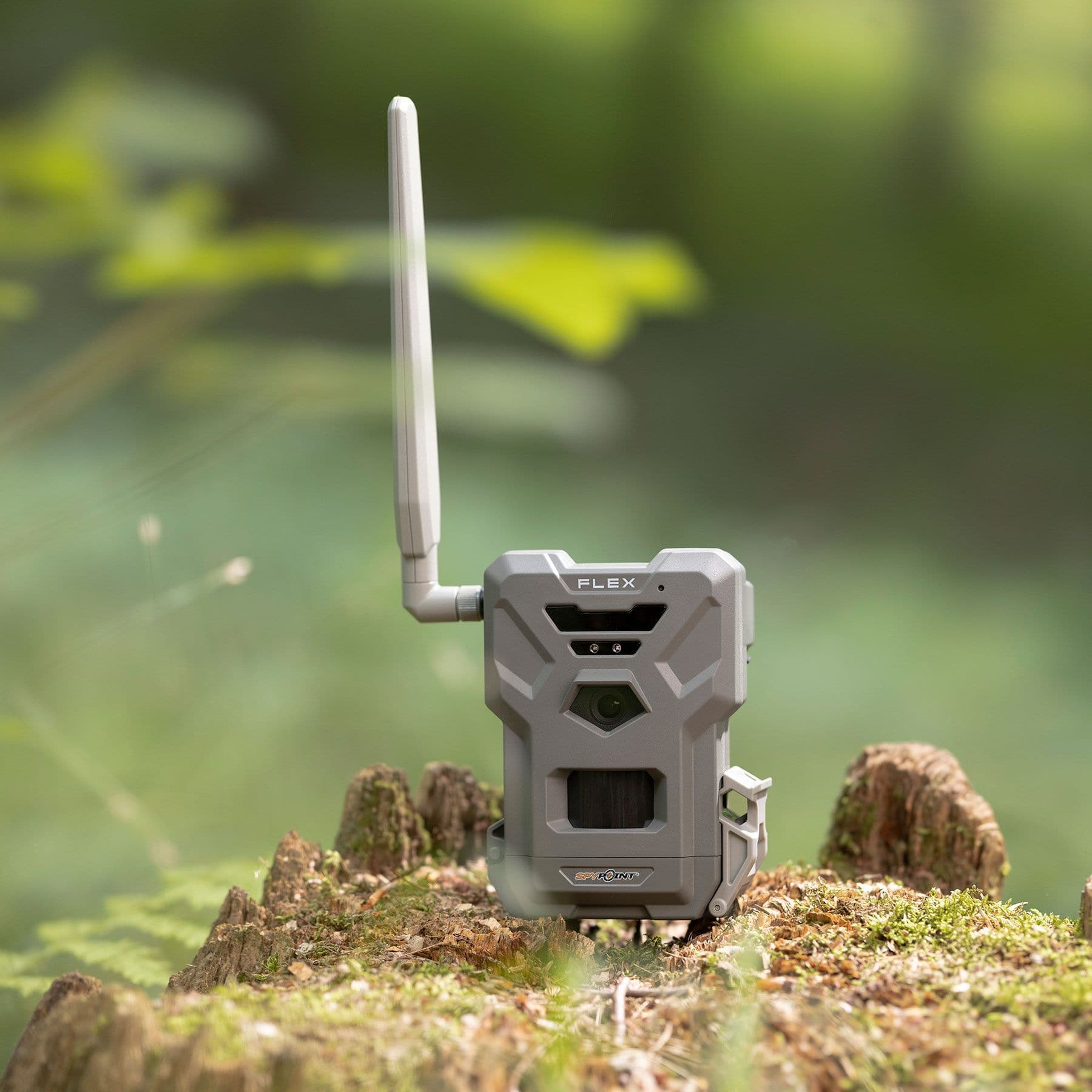 Spypoint Wildkamera Flex - Heidejagd