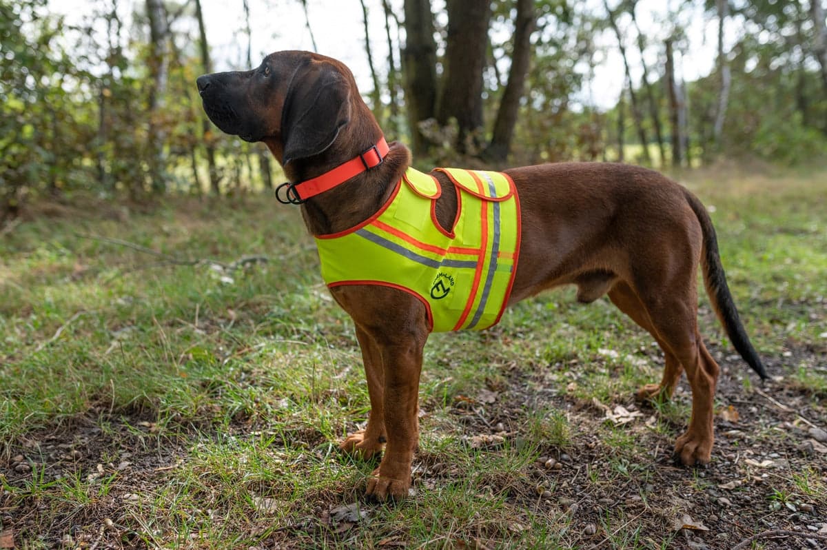 Reflektierende Hundeweste - Heidejagd