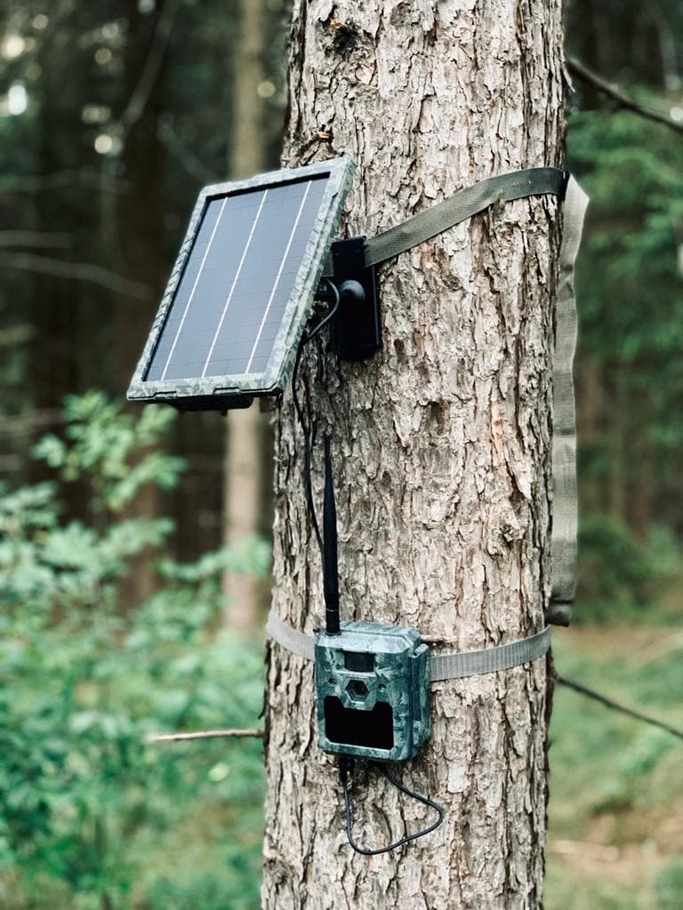 ICU Solarpanel icusun - Heidejagd