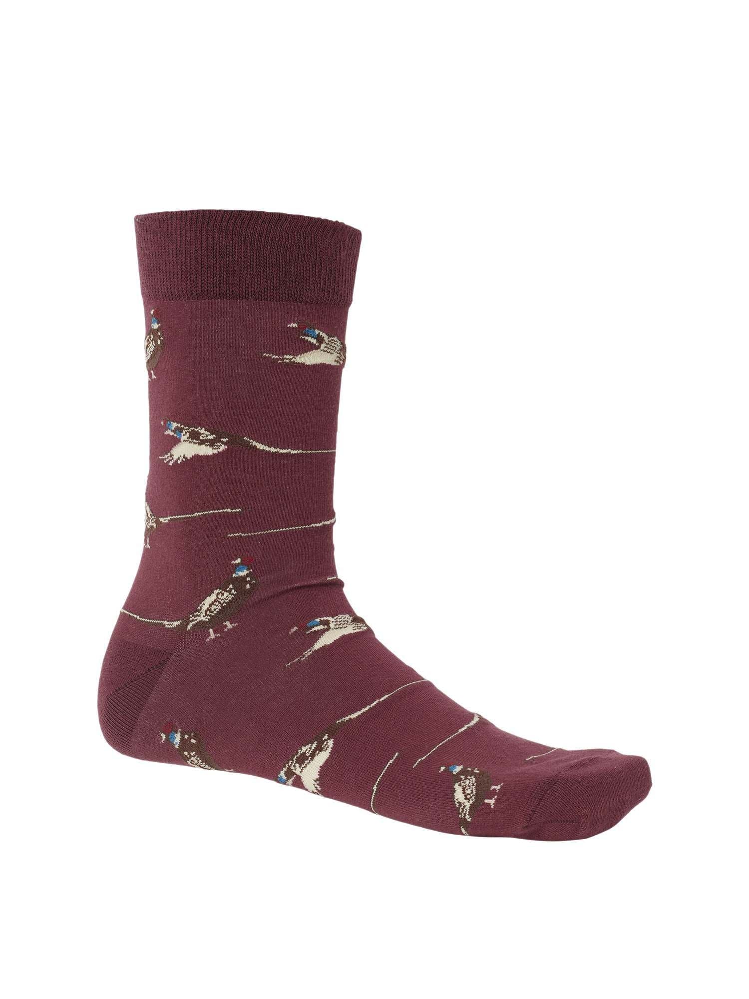 Chevalier Pomeroy Socken - Heidejagd