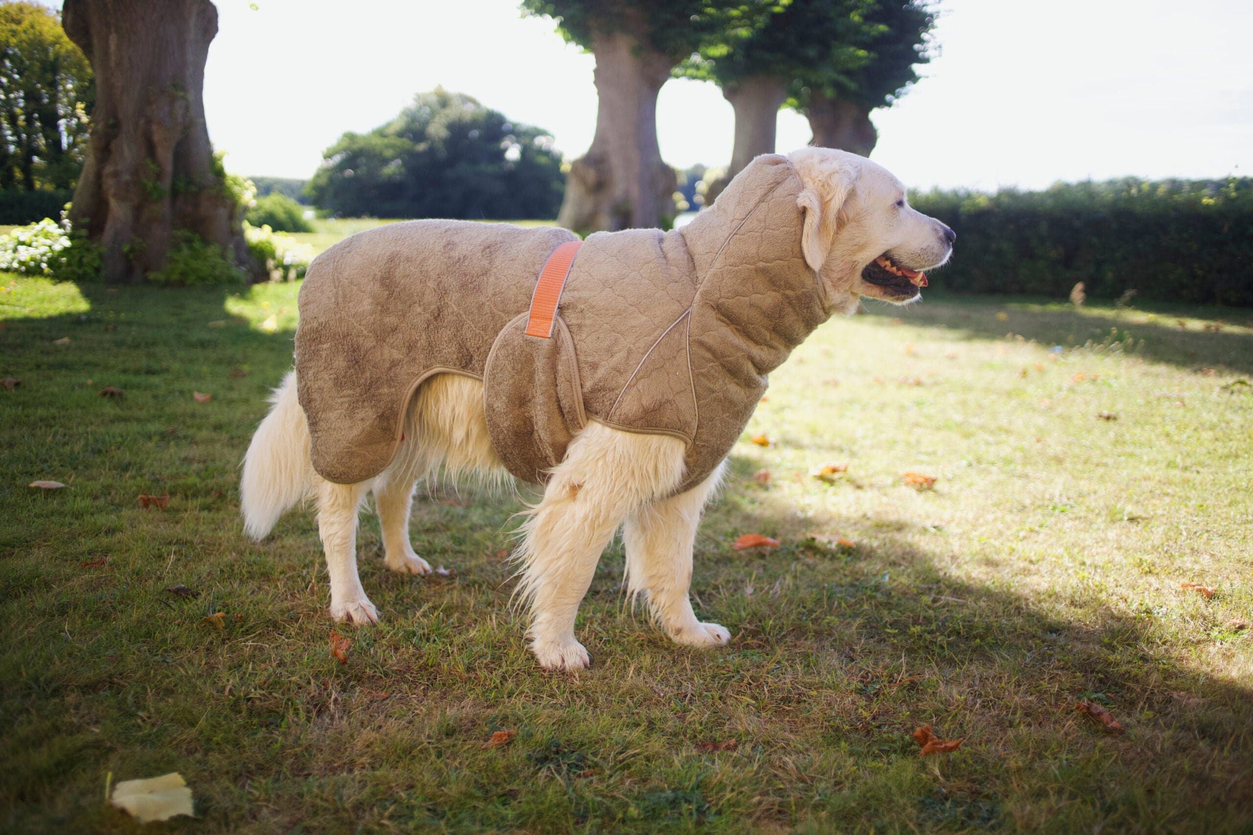 Siccaro Trockenmantel Supreme 2.0 - Heidejagd