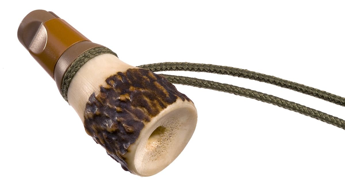 Rottumtaler Ranzbeller - Heidejagd