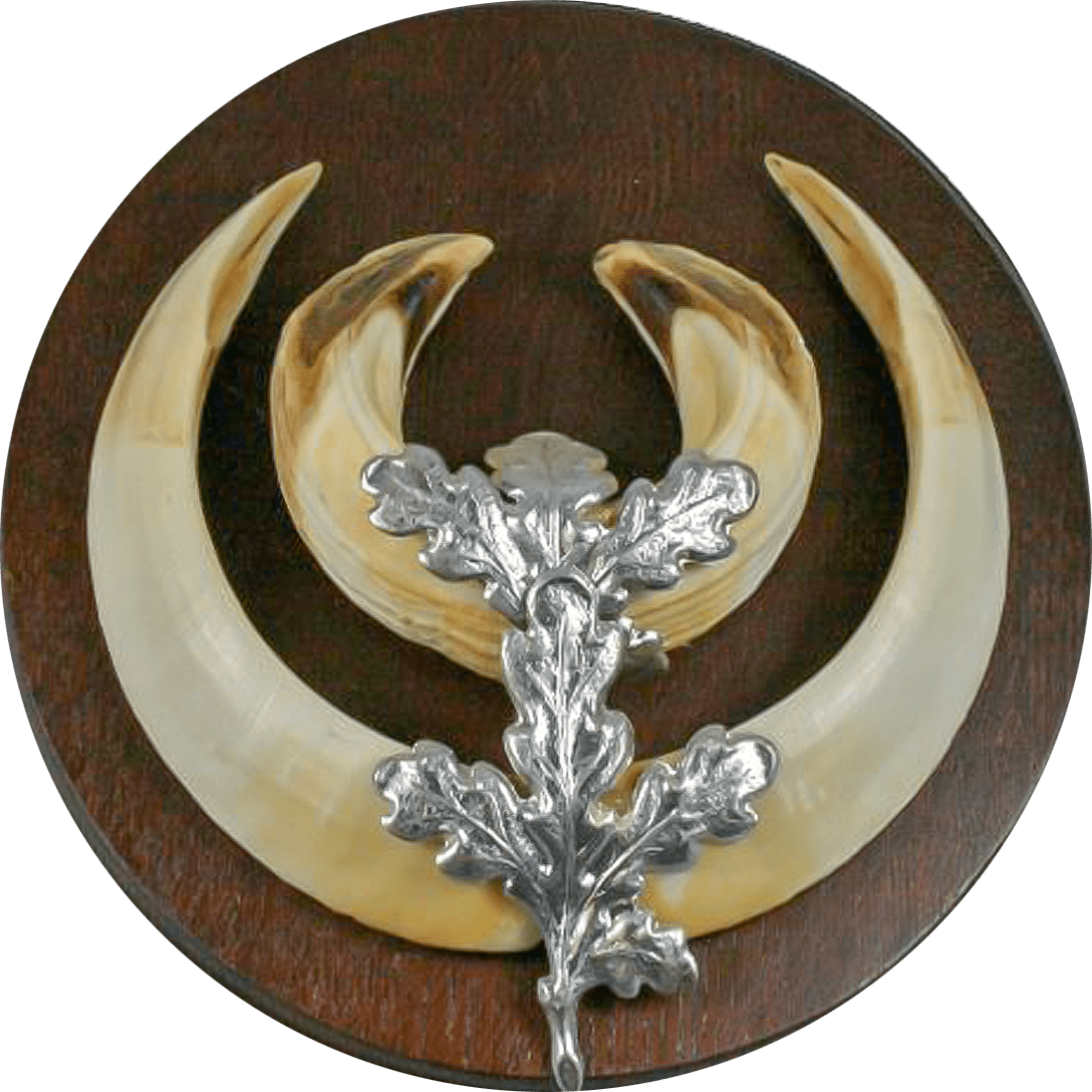 Eichenlaub für Keilerwaffen - Heidejagd