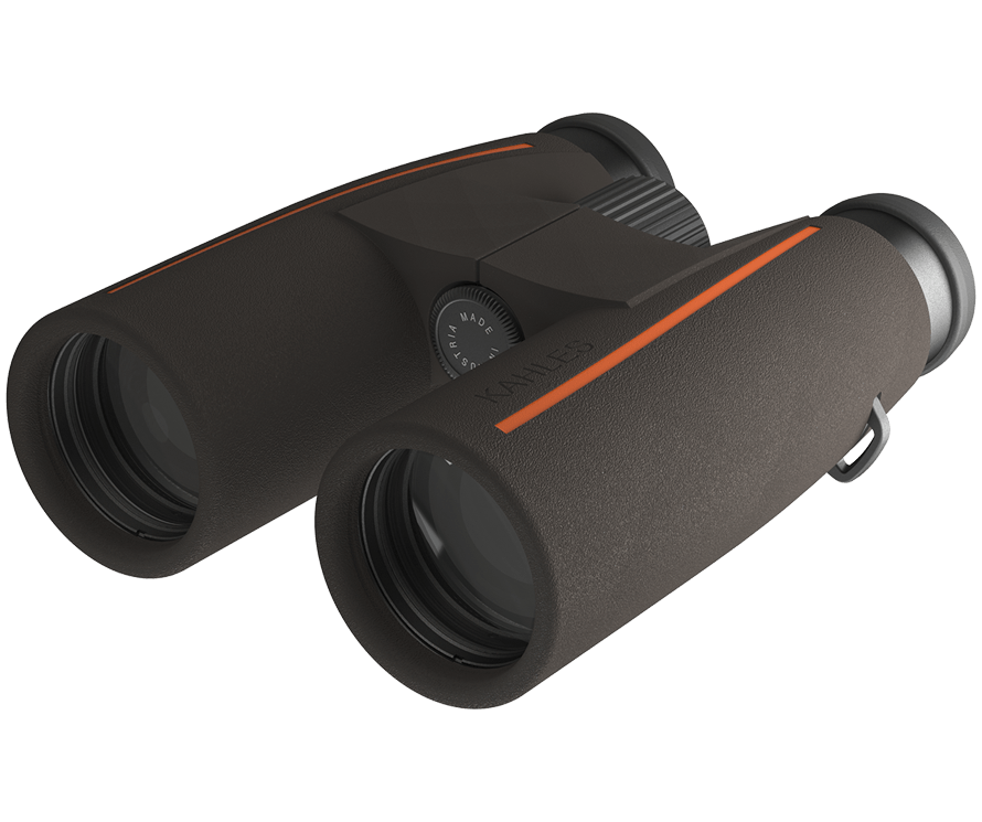 Kahles Fernglas Helia S 10x42 - Heidejagd