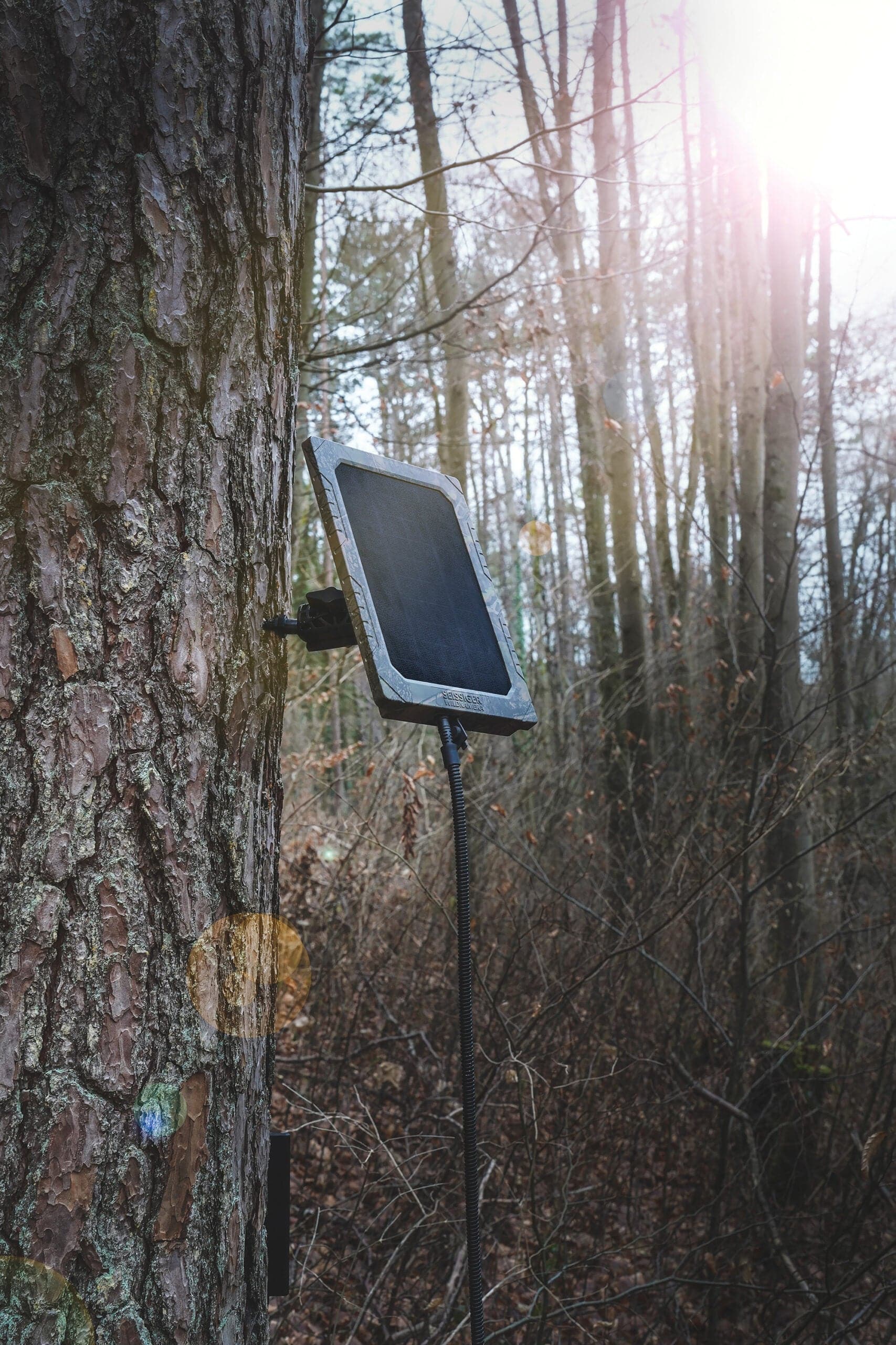 Seissiger Solarpanel für Wildkameras - Heidejagd
