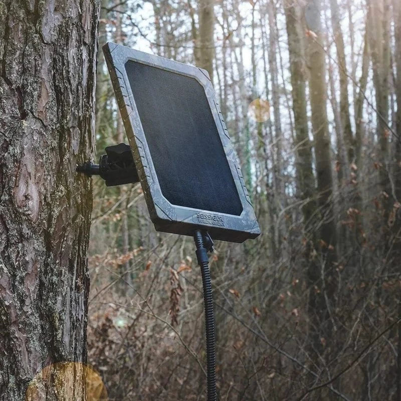 Wildkamera mit Solar