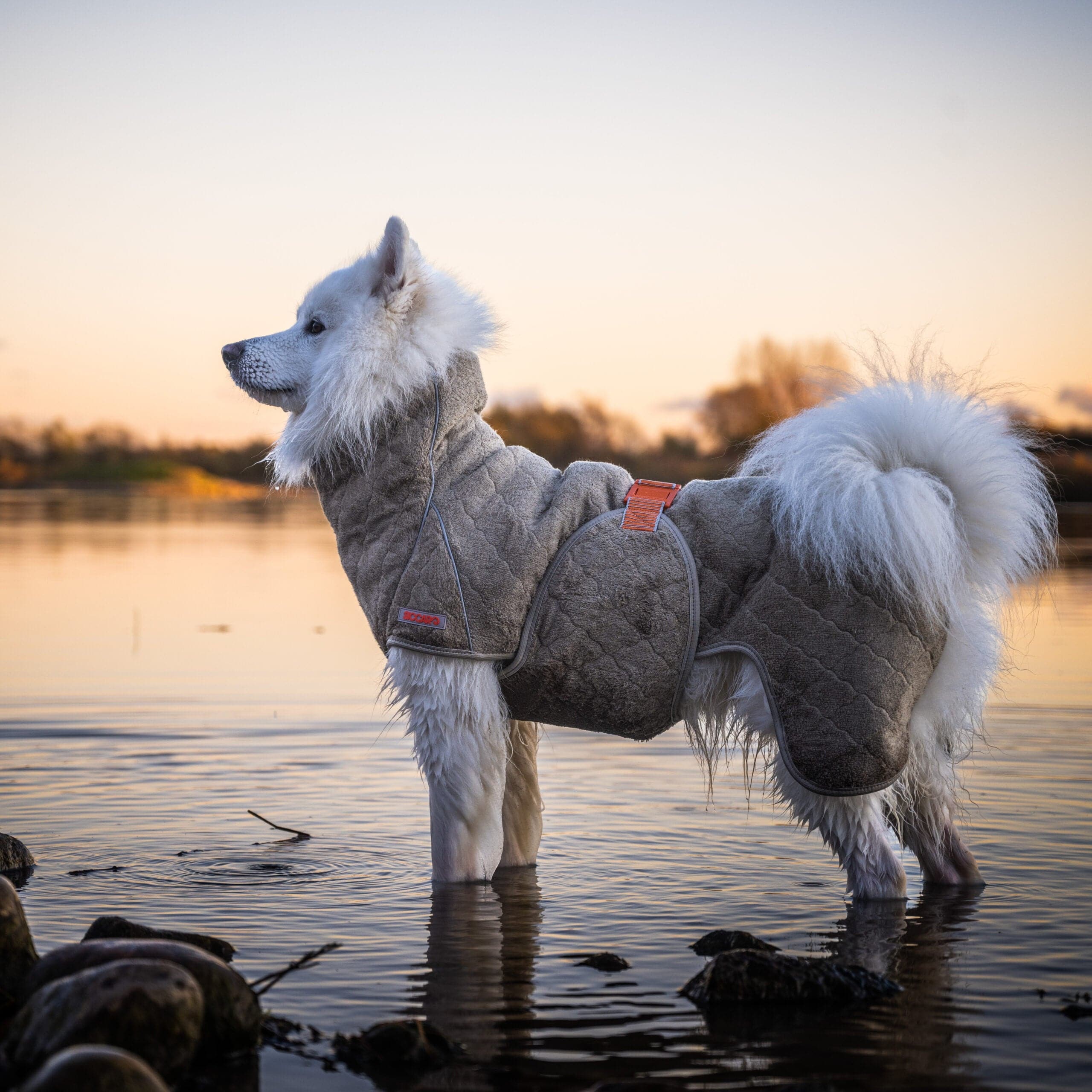 Siccaro Trockenmantel Supreme 2.0 - Heidejagd