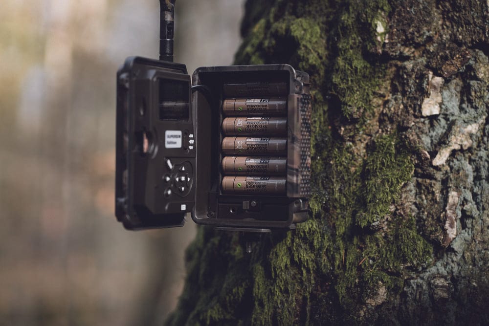 Seissiger Wildkamera Special-Cam LTE Supersim-Edition inkl. 6 x 18650-Akkus - Heidejagd