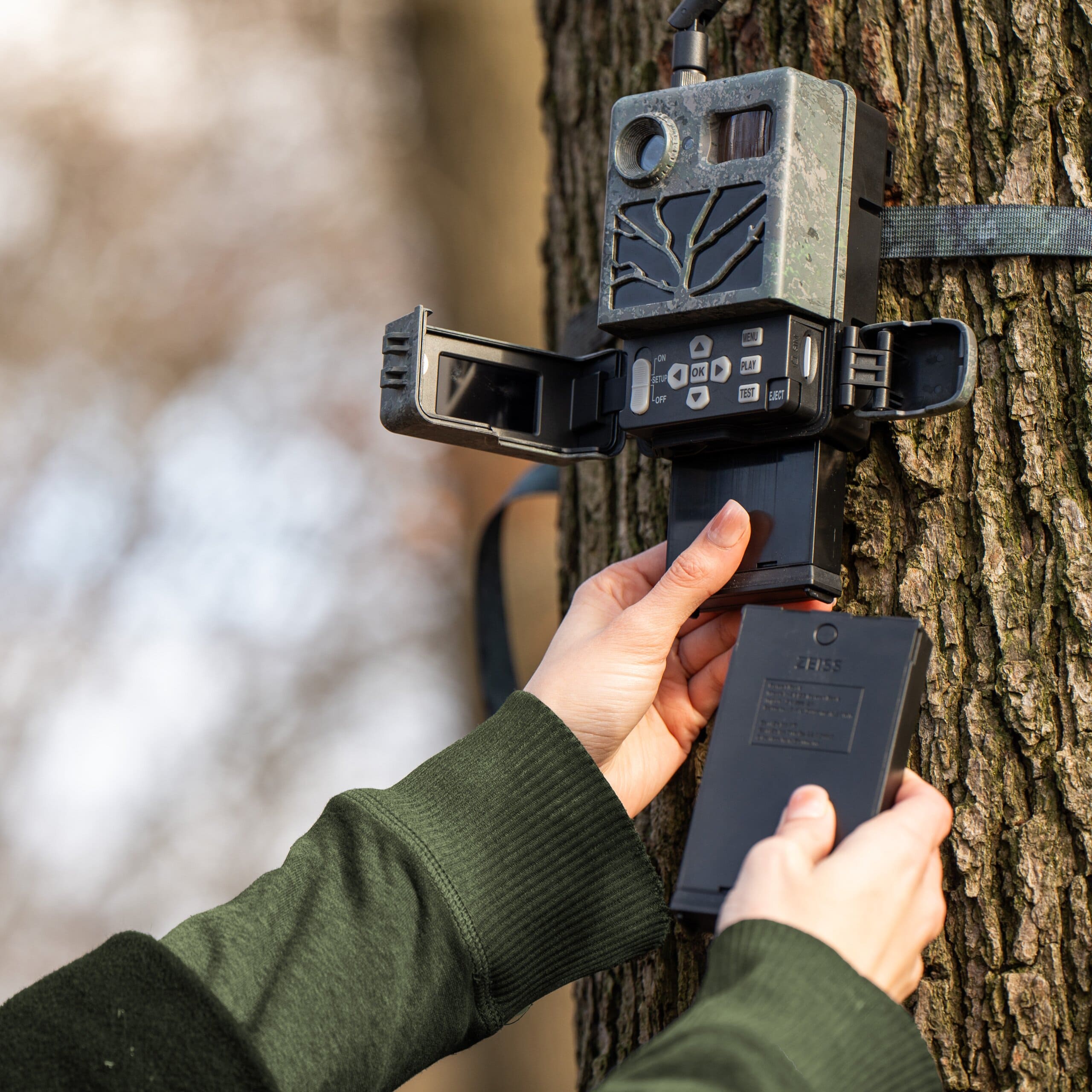 ZEISS Wildkamera Secacam 3 mit Power Pack – montiert am Baum mit geöffnetem Batteriefach