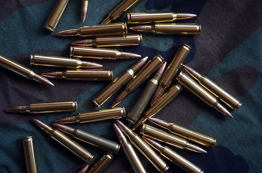 6,5 Creedmoor oder .308 Winchester? - Heidejagd