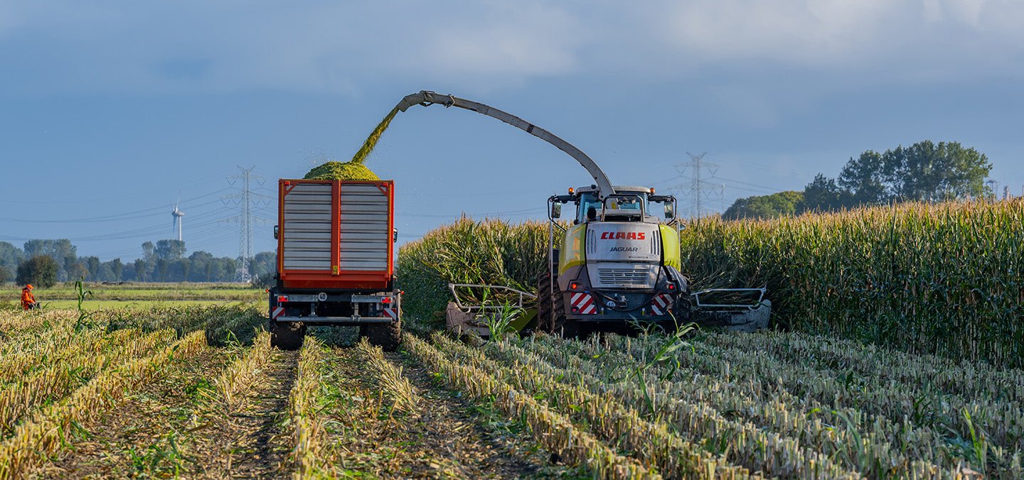 Erntejagd mit Verstand - Heidejagd