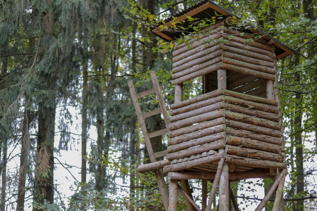 REVIERARBEITEN IM JAGDJAHR - Heidejagd