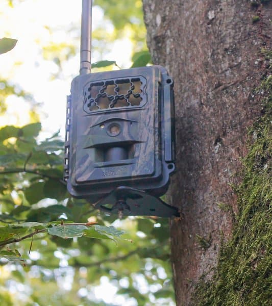 Seissiger Baumstativ für Wildkameras - Heidejagd